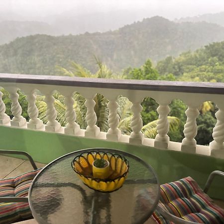 Matthew'S Miracle View Bed & Breakfast Roseau Bagian luar foto