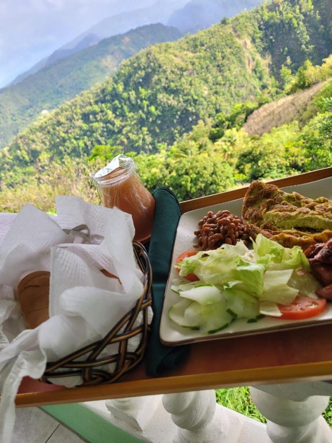 Matthew'S Miracle View Bed & Breakfast Roseau Bagian luar foto
