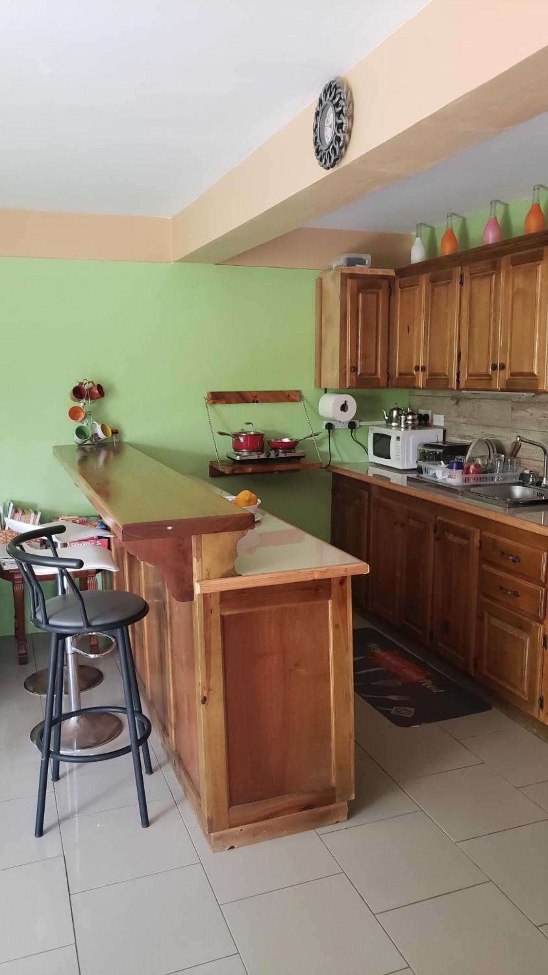 Matthew'S Miracle View Bed & Breakfast Roseau Bagian luar foto