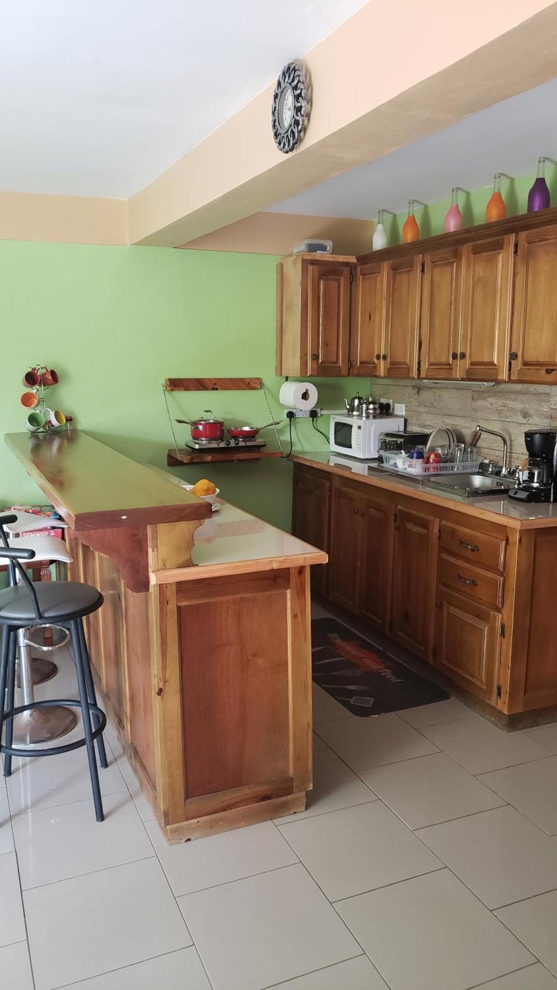 Matthew'S Miracle View Bed & Breakfast Roseau Bagian luar foto