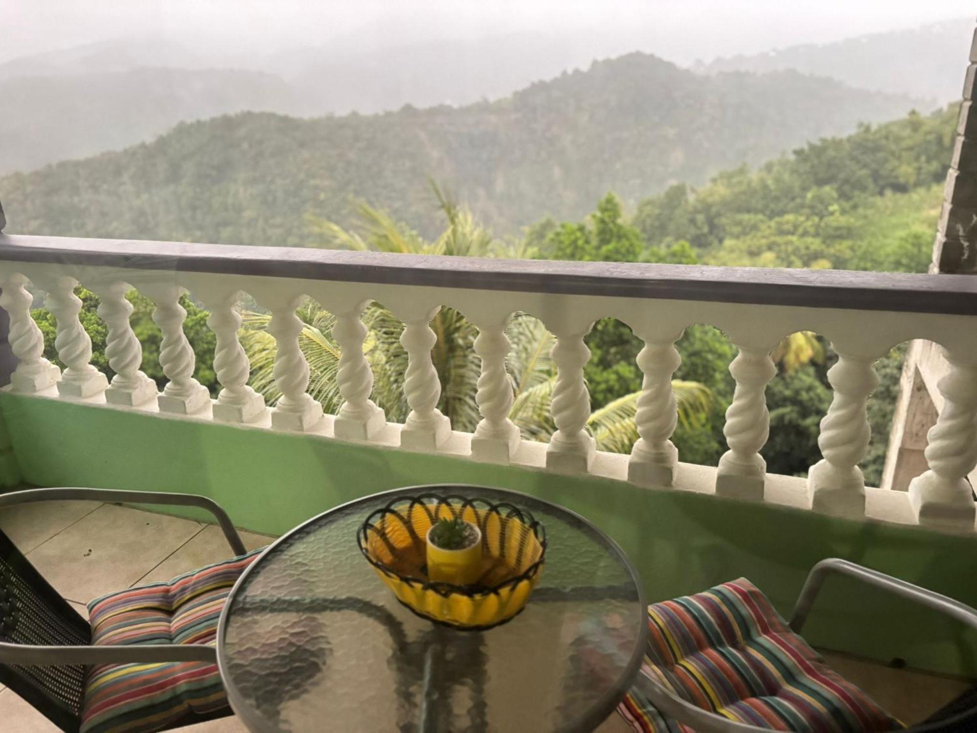 Matthew'S Miracle View Bed & Breakfast Roseau Bagian luar foto