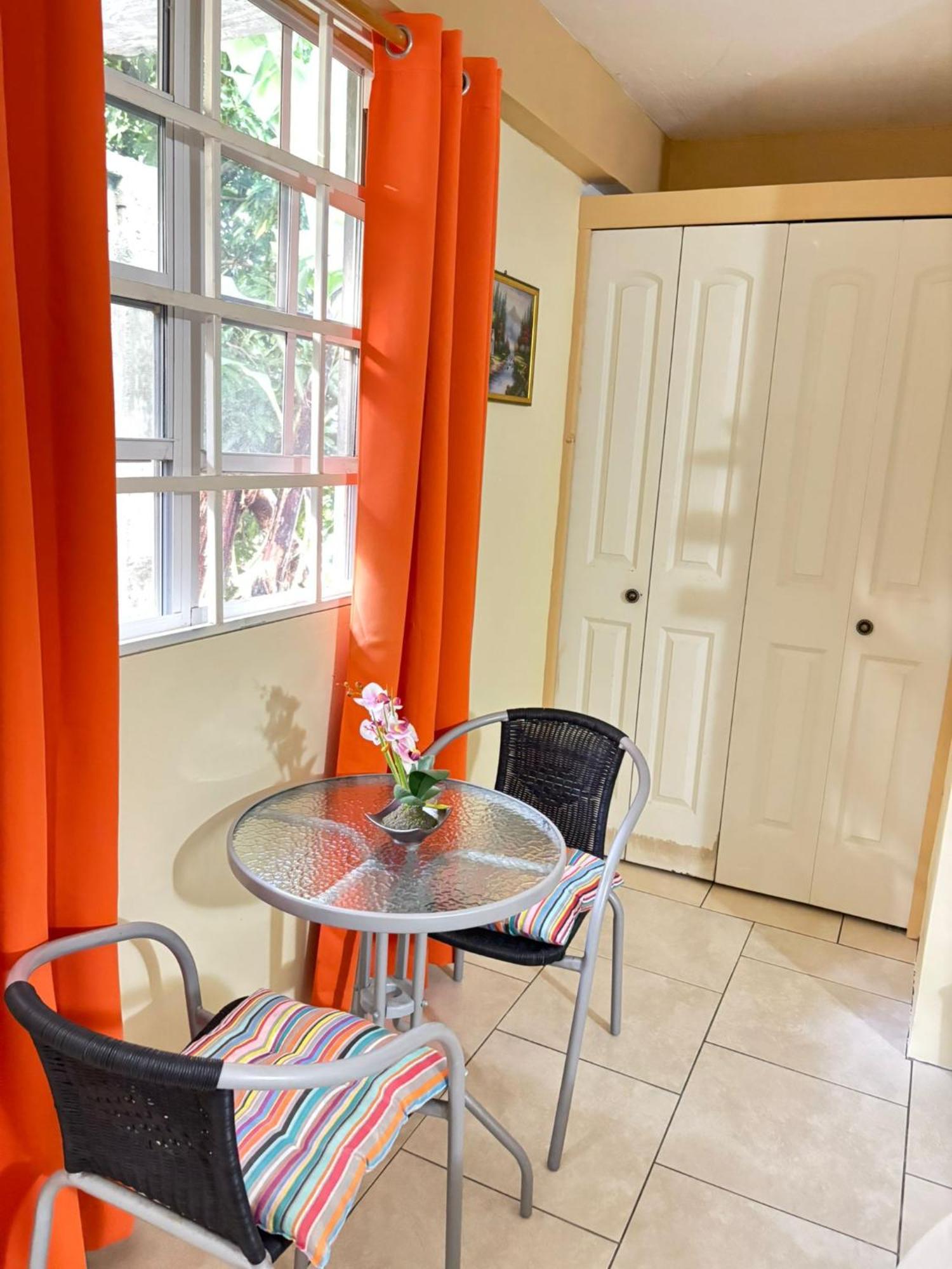 Matthew'S Miracle View Bed & Breakfast Roseau Bagian luar foto