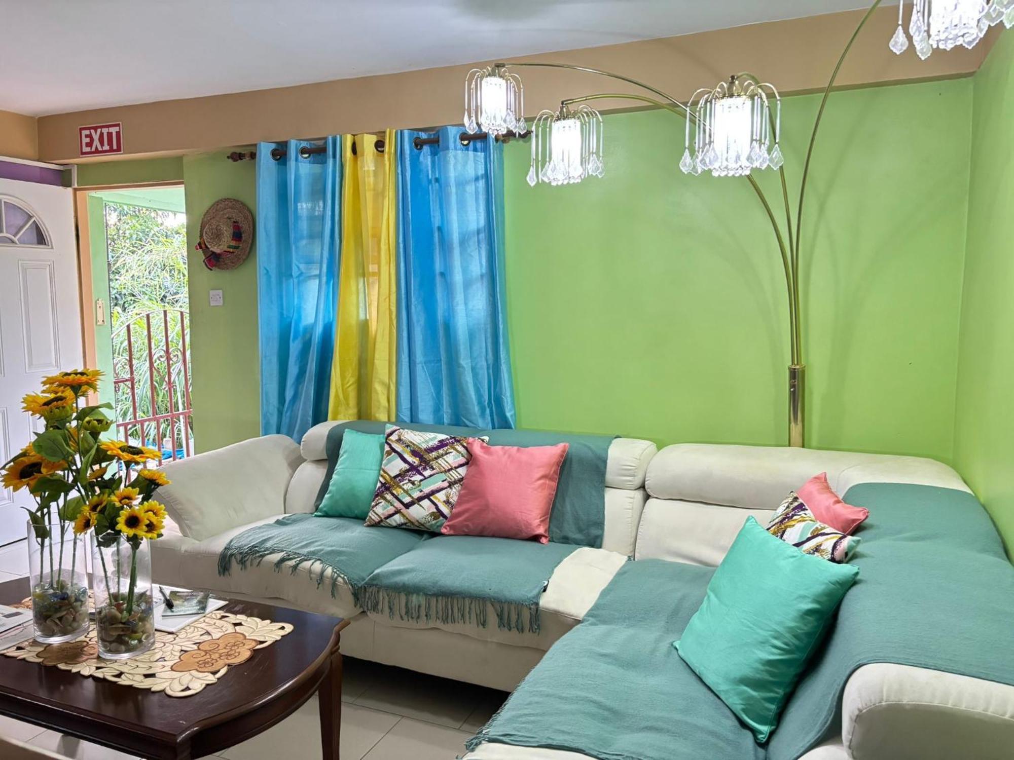 Matthew'S Miracle View Bed & Breakfast Roseau Bagian luar foto