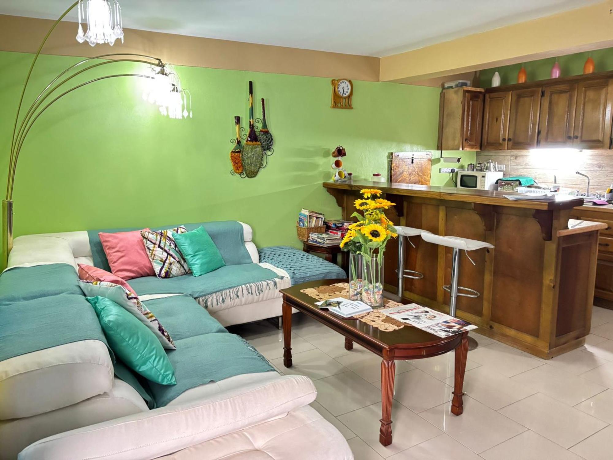Matthew'S Miracle View Bed & Breakfast Roseau Bagian luar foto
