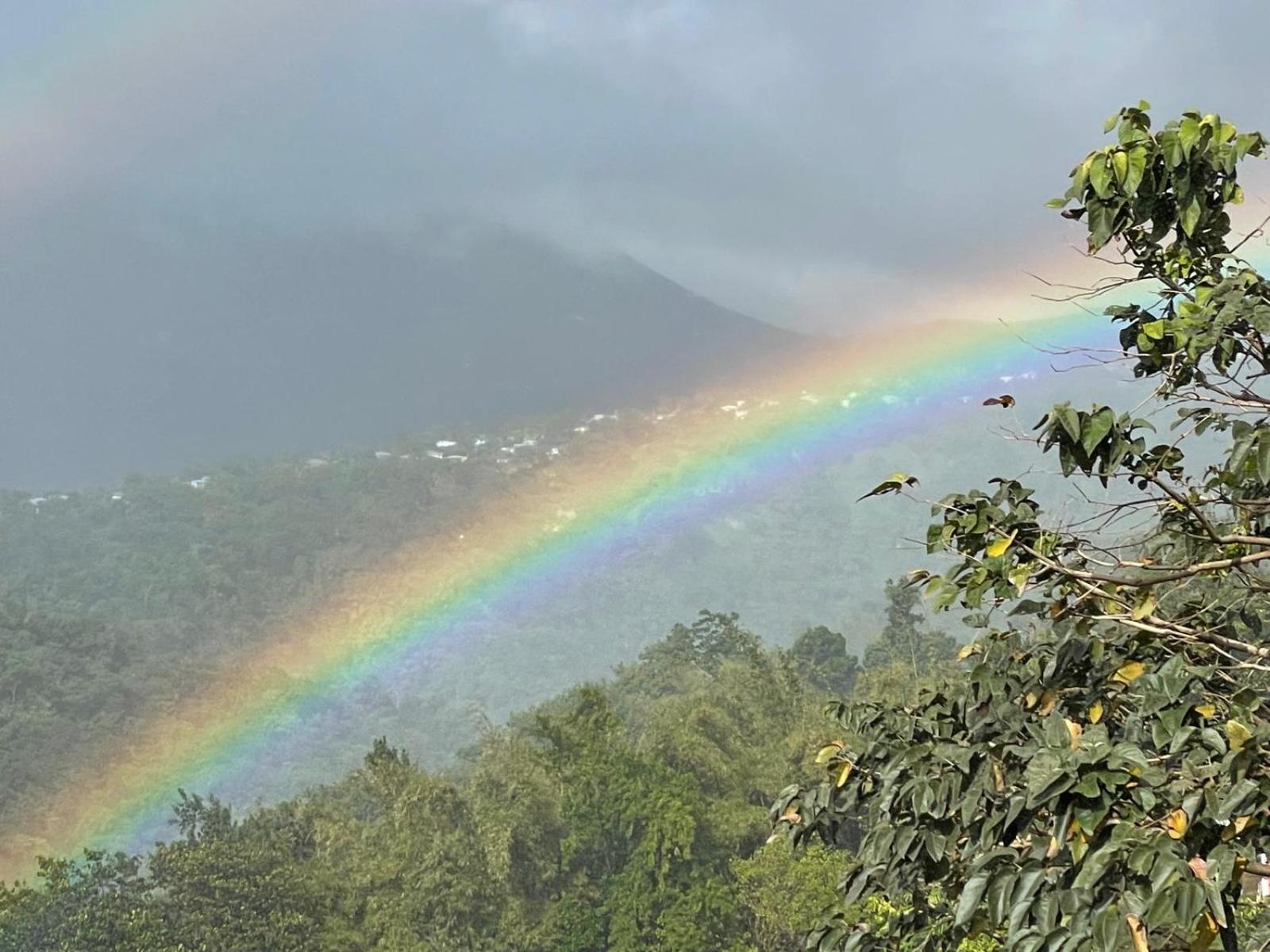Matthew'S Miracle View Bed & Breakfast Roseau Bagian luar foto