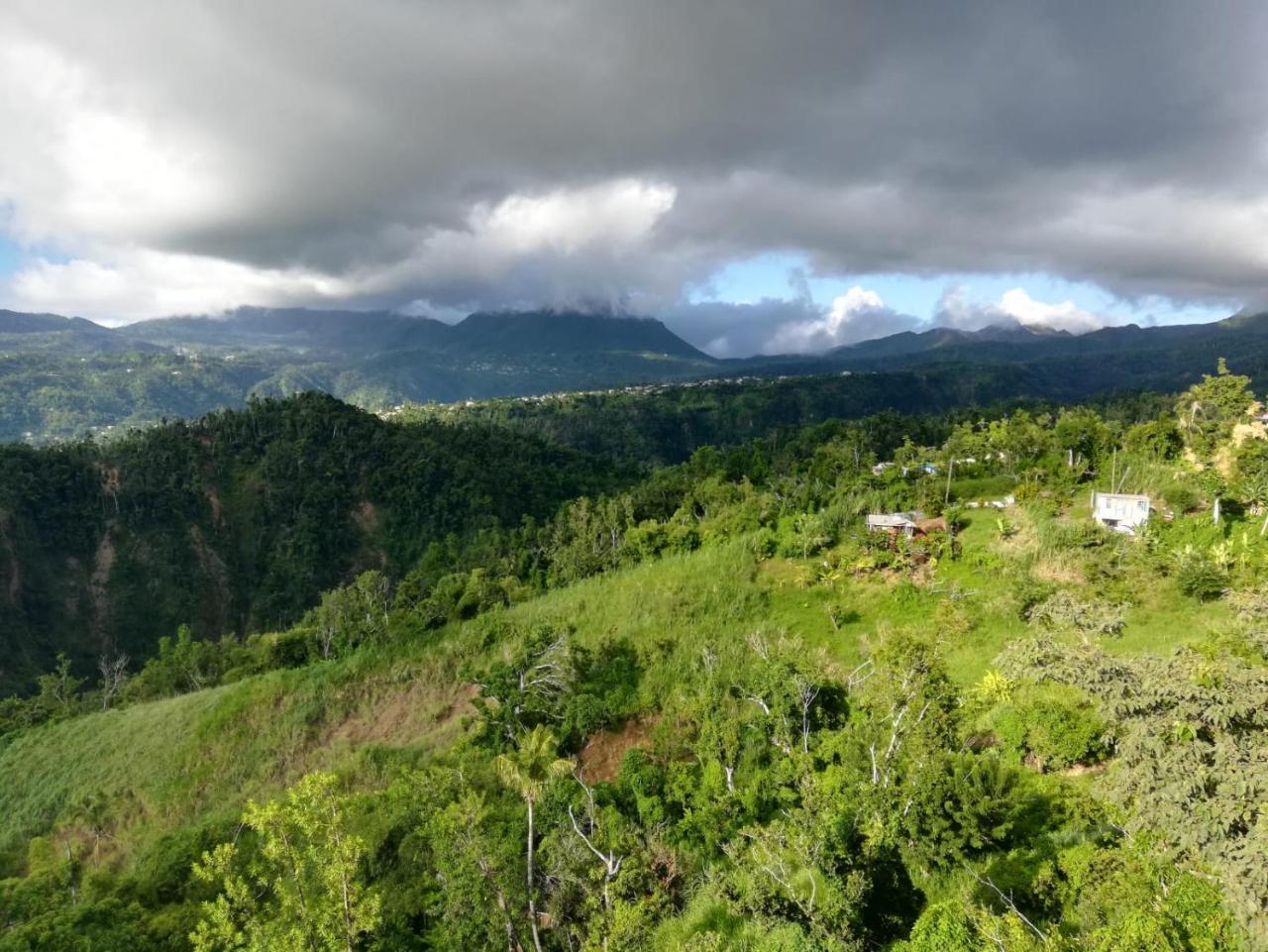 Matthew'S Miracle View Bed & Breakfast Roseau Bagian luar foto