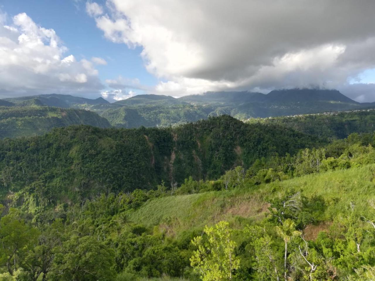 Matthew'S Miracle View Bed & Breakfast Roseau Bagian luar foto
